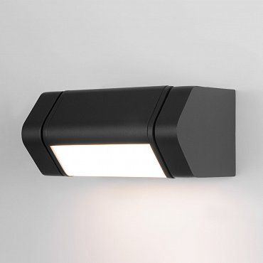 Настенный светильник уличный DORS 35163/D черный Elektrostandard a062882 фото