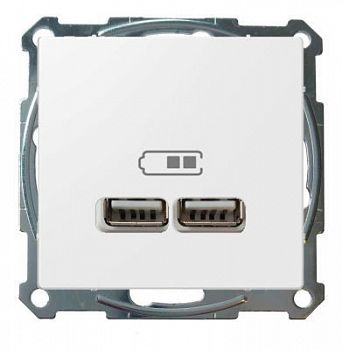 Розетка 2-я USB 2.4 A+A Merten Серия M Белый MTN4366-0100+MTN4367-0325 фото