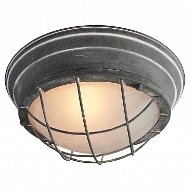 Потолочный светильник Lussole Loft LSP-9881 фото